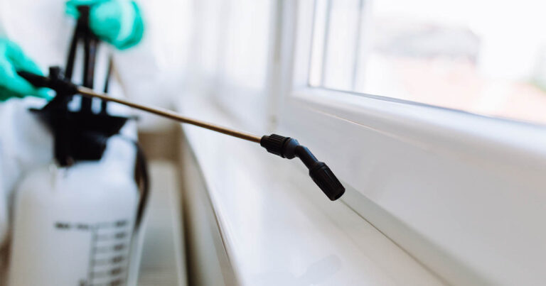 Avoid bed bugs when you travel – tips & prevention methods&nbsp;