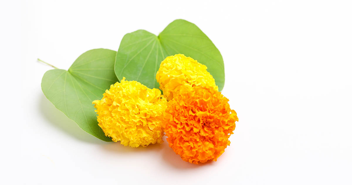 Dussehra